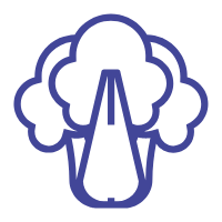 Verduras