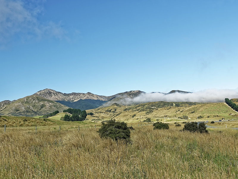 Revelada la inversión en la fábrica de Nueva Zelanda
