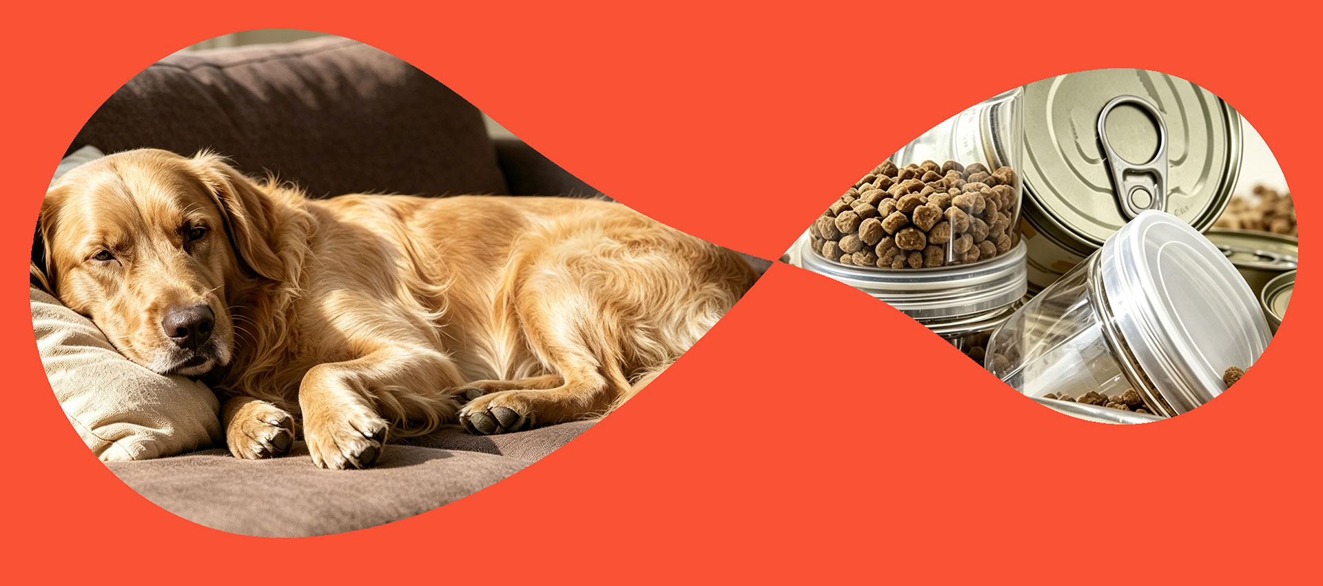 Pionero en Nutrición Sostenible para Mascotas