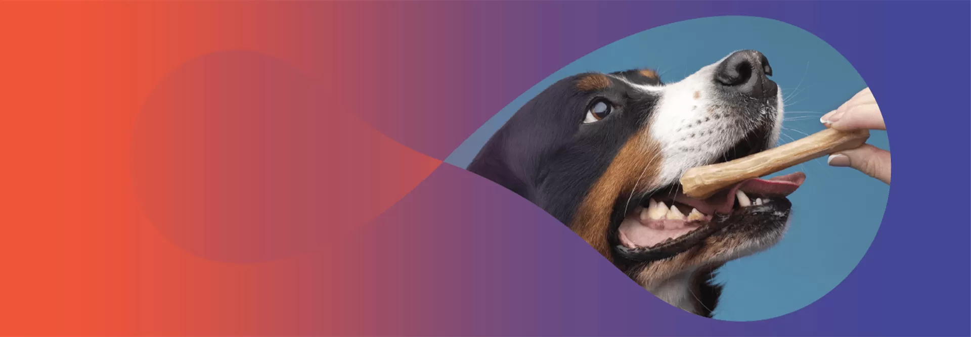 Alimento para perros Advanced Nutrition para todas las razas y edades