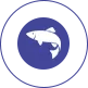 Peces de aguas profundas
