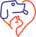 Colaboración y Empoderamiento