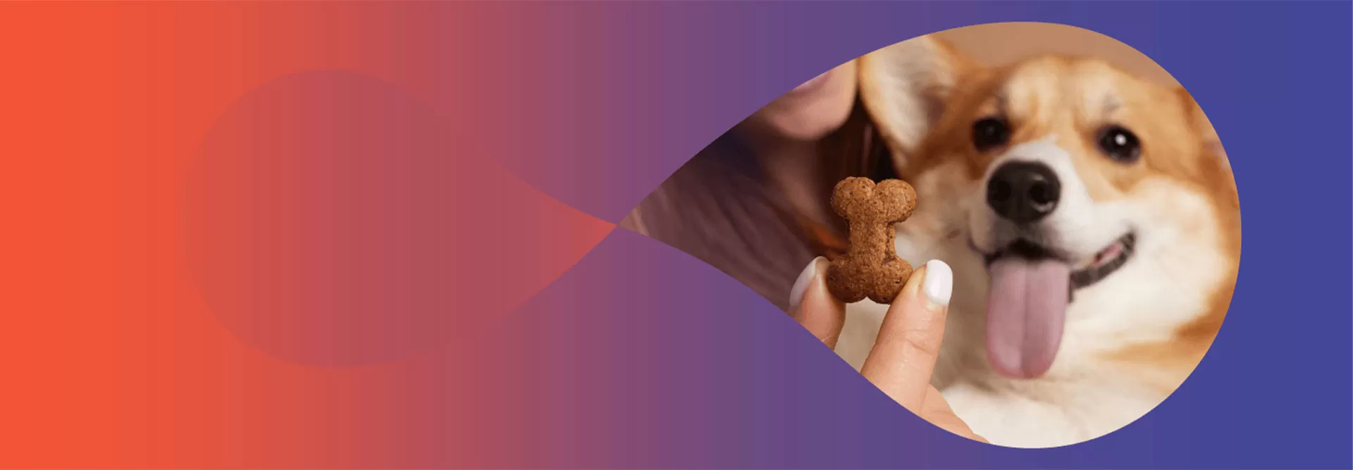 Golosinas / Snacks personalizados para perros con un sabor extraordinario