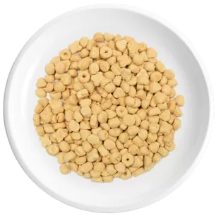 Mini galletas para perros
