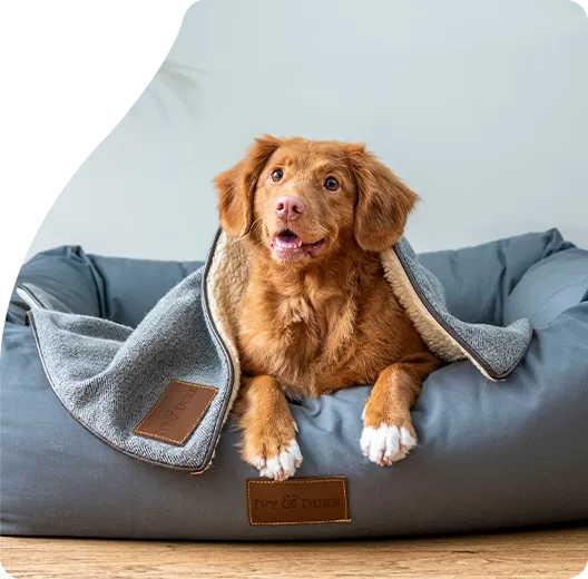 Nuestro compromiso con la seguridad y el cumplimiento del alimento para perros