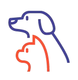 Investigación profunda sobre fisiología felina